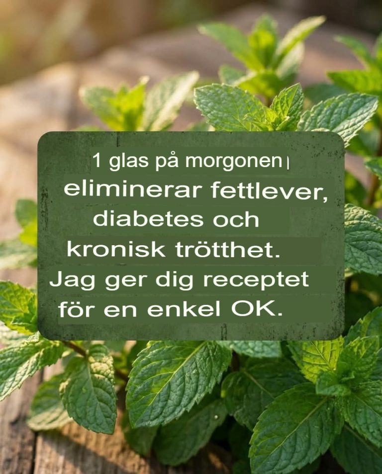 Bara ett glas på morgonen eliminerar fettlever, diabetes och trötthet… Läs mer