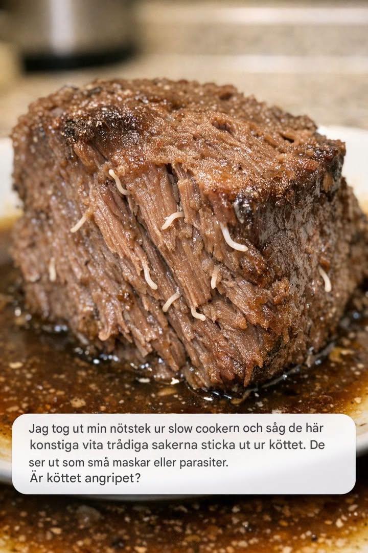 Tog fram min nötstek ur slow cookern och såg dessa konstiga vita trådiga saker sticka ut ur köttet. De ser ut som små maskar eller parasiter.