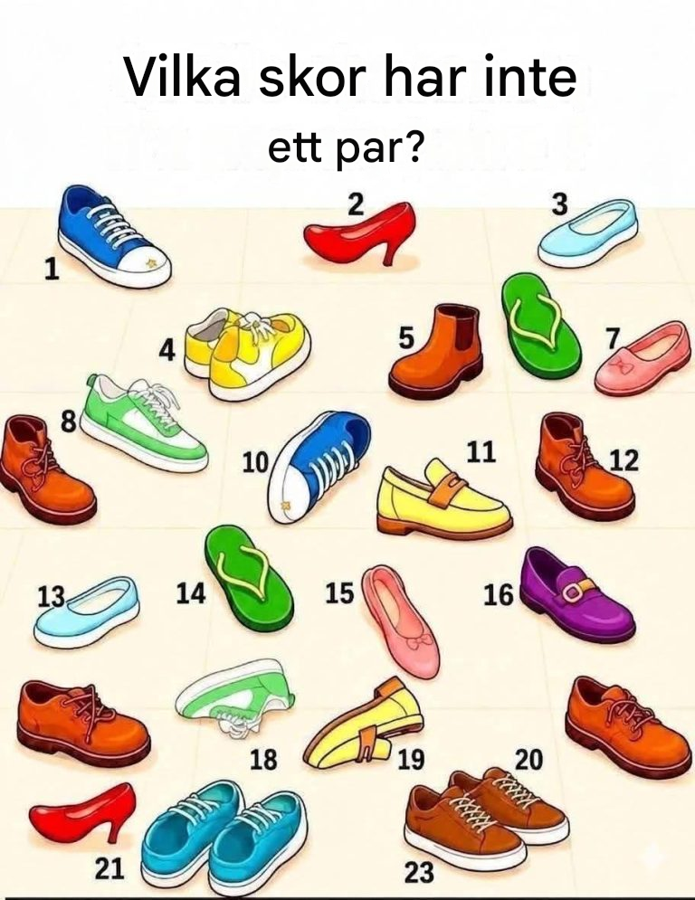 Vilken sko har inte ett par? En utmaning som överraskar nästan alla. Kolla länken för svaret.