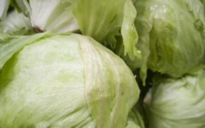 Glöm den sladdriga kålen! Mormors tre hemligheter för att förhindra att den blir dålig… Läs mer…