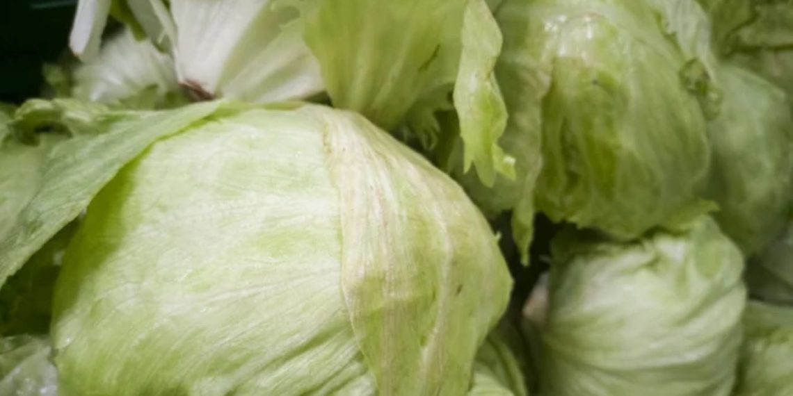 Glöm den sladdriga kålen! Mormors tre hemligheter för att förhindra att den blir dålig… Läs mer…