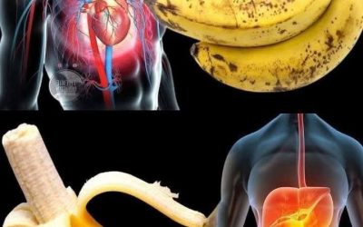 Bananer är en exotisk frukt full av hälsofördelar. Upptäck de näringsmässiga fördelarna med denna köttiga och söta frukt. Bananer är en riktig