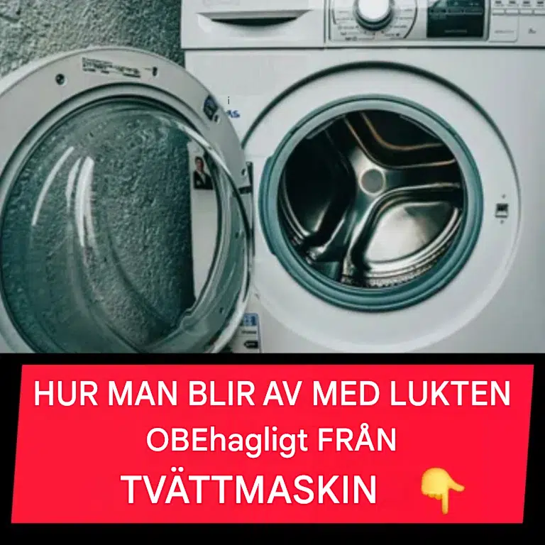 Munsköljsknepet som tar bort den obehagliga lukten i tvättmaskinen. Så fungerar det