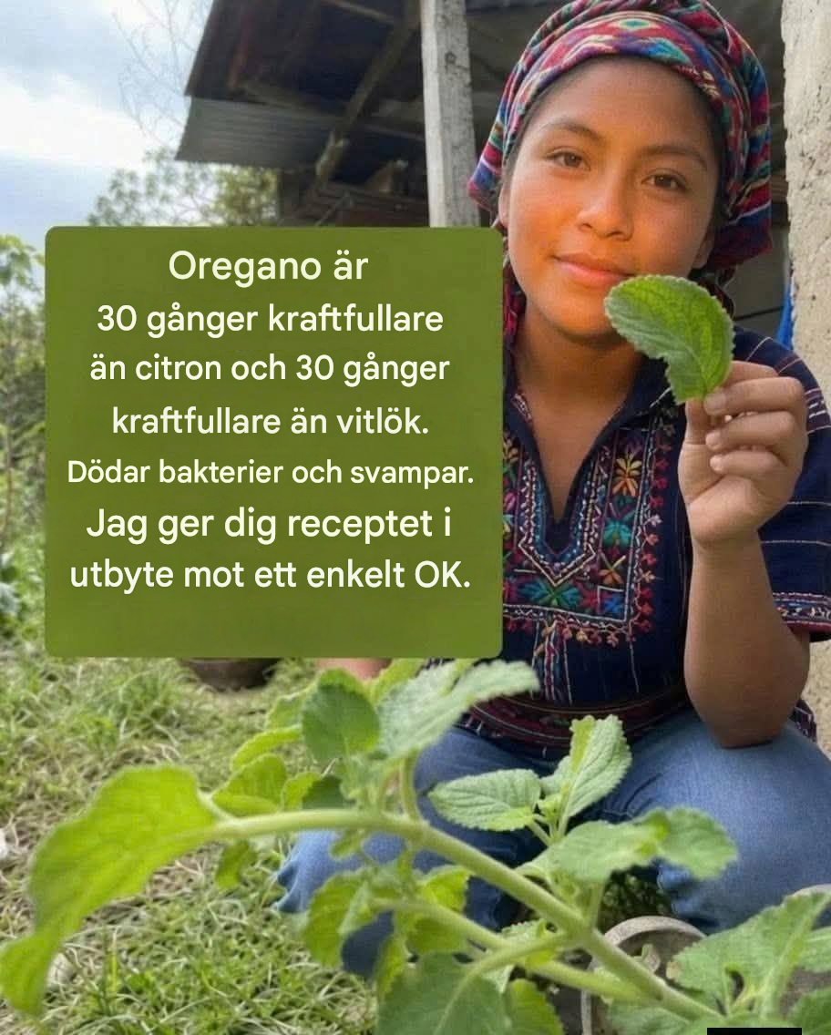 En komplett guide till vitlöks- och oreganote: en traditionell örtdryck för dagligt välbefinnande